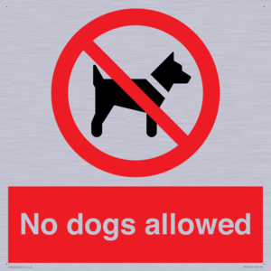 PV7367: No dogs allowed