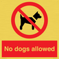 PV7367: No dogs allowed