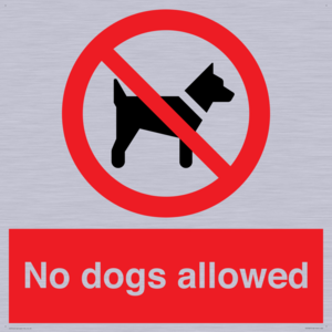 PV7367: No dogs allowed