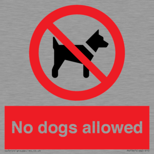 PV7367: No dogs allowed