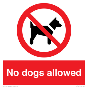 PV7367: No dogs allowed