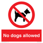 PV7367: No dogs allowed