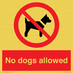 PV7367: No dogs allowed