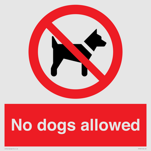 PV7367: No dogs allowed