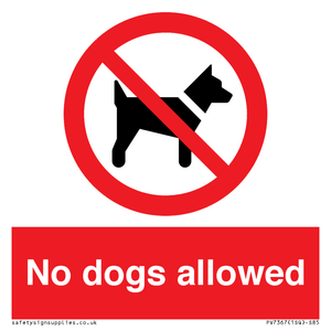 PV7367: No dogs allowed