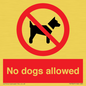 PV7367: No dogs allowed