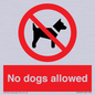 PV7367: No dogs allowed