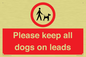 PV7553: Please keep all dogs on leads