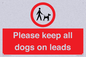 PV7553: Please keep all dogs on leads