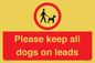PV7553: Please keep all dogs on leads