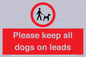 PV7553: Please keep all dogs on leads