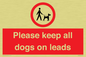 PV7553: Please keep all dogs on leads