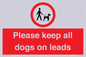 PV7553: Please keep all dogs on leads