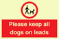 PV7553: Please keep all dogs on leads