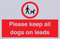 PV7553: Please keep all dogs on leads