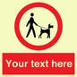 PV7554: Custom Road regulatory dogs on leads