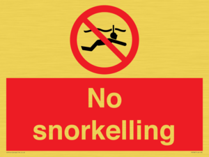 PV7687: No snorkelling