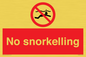 PV7687: No snorkelling