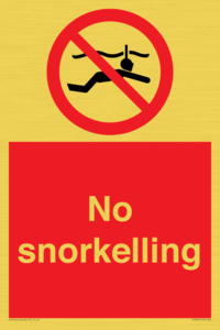 PV7687: No snorkelling