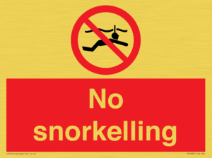 PV7687: No snorkelling