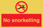 PV7687: No snorkelling