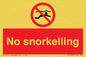 PV7687: No snorkelling