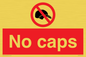 PV7747: No caps