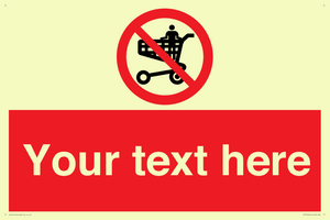 PV7756: Custom prohibition no standing in trolley