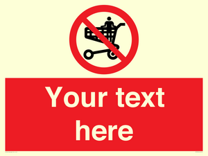 PV7756: Custom prohibition no standing in trolley