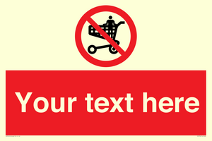 PV7756: Custom prohibition no standing in trolley