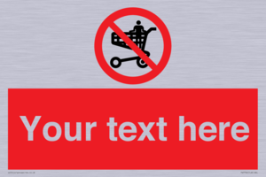 PV7756: Custom prohibition no standing in trolley