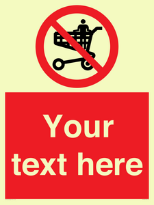 PV7756: Custom prohibition no standing in trolley