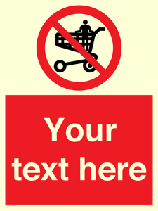 PV7756: Custom prohibition no standing in trolley