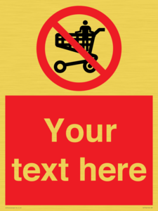 PV7756: Custom prohibition no standing in trolley