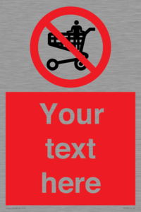 PV7756: Custom prohibition no standing in trolley
