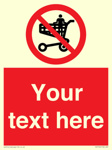 PV7756: Custom prohibition no standing in trolley