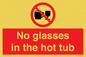 PV7931: No glasses in the hot tub