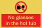 PV7931: No glasses in the hot tub