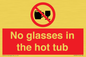 PV7931: No glasses in the hot tub