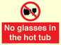 PV7931: No glasses in the hot tub