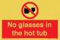 PV7931: No glasses in the hot tub