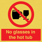 PV7931: No glasses in the hot tub