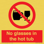 PV7931: No glasses in the hot tub