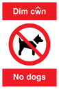 PV916: Dim cwn  No dogs
