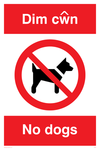 PV916: Dim cwn  No dogs