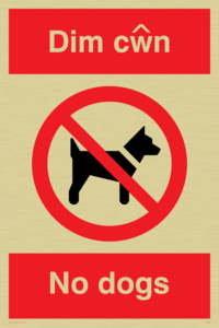 PV916: Dim cwn  No dogs