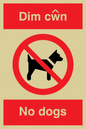 PV916: Dim cwn  No dogs