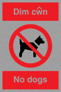 PV916: Dim cwn  No dogs