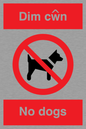 PV916: Dim cwn  No dogs