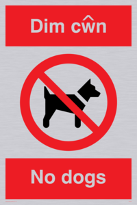 PV916: Dim cwn  No dogs